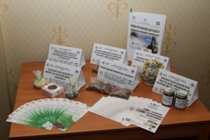 Stowarzyszenie Integracja Europa-Wschód